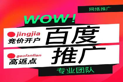 SEM外包公司案例：助力企业拓展海外市场